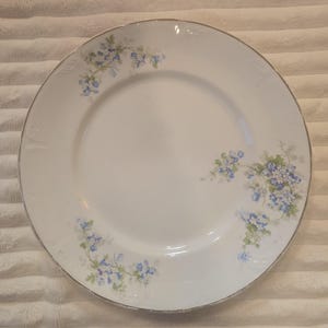 Puede incluir: Plato de porcelana blanca con borde plateado y delicado estampado floral azul. El diseño presenta racimos de flores azules con hojas verdes, añadiendo un toque de elegancia a la vajilla.