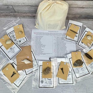 Fossil Mystery Discovery Bag – Real Fossils | STEM Science Gift | Paleontology Kit | Educational Fossil Collection