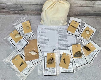 Fossil Mystery Discovery Bag – Real Fossils | STEM Science Gift | Paleontology Kit | Educational Fossil Collection