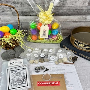 May include: An Easter-themed gift set with colorful plastic eggs in a basket and a cellophane bag. Includes a fossil book, a sifter, and a collection of numbered rocks. A tag with a bunny says "Happy Easter!"