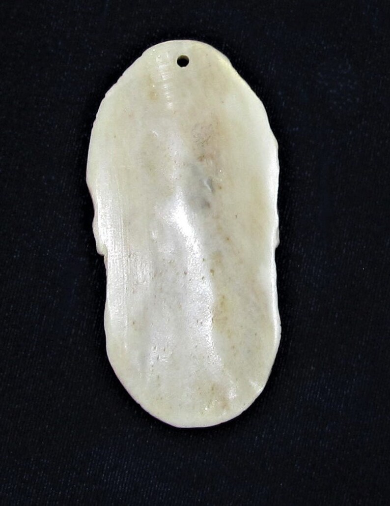 Detailed Hand Carved Bone Bear /& Wolves Pendant Medallion 3 X 1.5