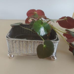Puede incluir: Una cesta cuadrada de metal plateado con un patrón de textura tejida y un borde trenzado tipo cuerda. La cesta se apoya sobre cuatro pequeñas patas esféricas y contiene una planta verde con hojas redondeadas de color rojo oscuro y una flor rosa.