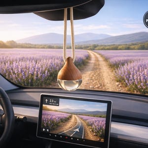 May include: A car interior with a hanging wooden and glass air freshener. The car's dashboard features a navigation screen displaying a road through a lavender field. The image includes a "MOST POPULAR" sticker.