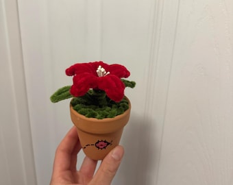 Mini Lilie - Marienkäfer Topf