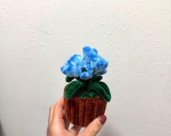 Mini Tulpe Blumentopf