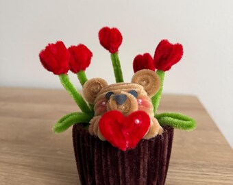 Bär Valentines Cup