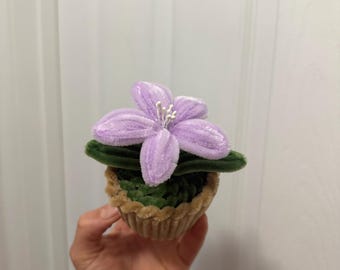 Mini Lilie Blumentopf