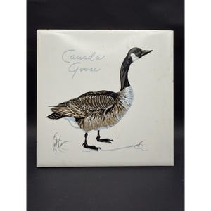 Puede incluir: Azulejo de cerámica cuadrado con una ilustración detallada de un ganso canadiense. El ganso tiene la cabeza y el cuello negros, una mancha blanca en la mejilla y plumas corporales marrones y blancas. Las palabras "Canada Goose" están escritas en cursiva.