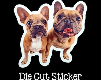 Custom Pet Sticker, Dog Sticker, Your Own Photo, Create a Sticker of your Dog or Pet, Vinyl Waterproof Sticker