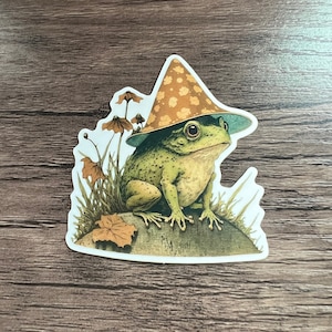 Herfst heks pad sticker | Grillige kikker kunst | Cottagecore Goblincore amfibie laptop sticker | Dagboek Scrapbooking Decor | Natuur geïnspireerd