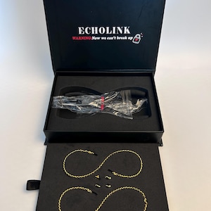 May include: A black box displaying the text "ECHOLINK" and the warning "Now we can't break up". The box contains black glasses and gold-coloured jewellery. The jewellery includes two pairs of infinity-shaped chains and small studs.