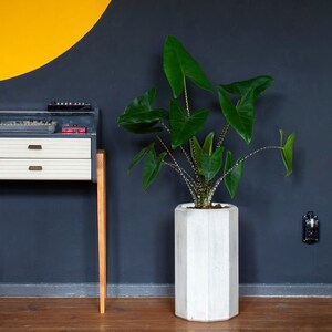 fiori brutali // letto di cemento