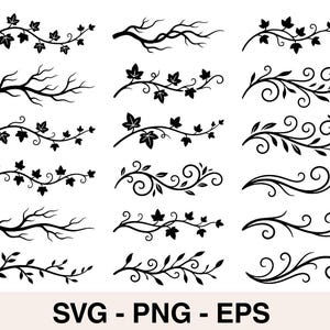 Könnte beinhalten: Eine Sammlung schwarzer Vektorillustrationen mit verschiedenen botanischen Designs. Das Bild enthält Zweige, Blätter und dekorative Wirbel, ideal für digitale Kunstprojekte. Der Text "SVG - PNG - EPS" ist unten zu sehen.