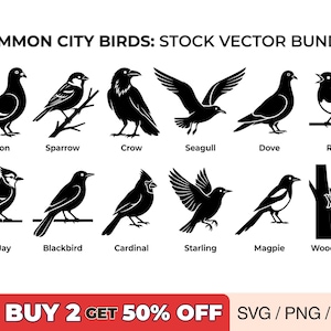 Siluetas de aves comunes SVG / Paquete de vectores de aves urbanas, callejeras y de jardín para Cricut y corte láser