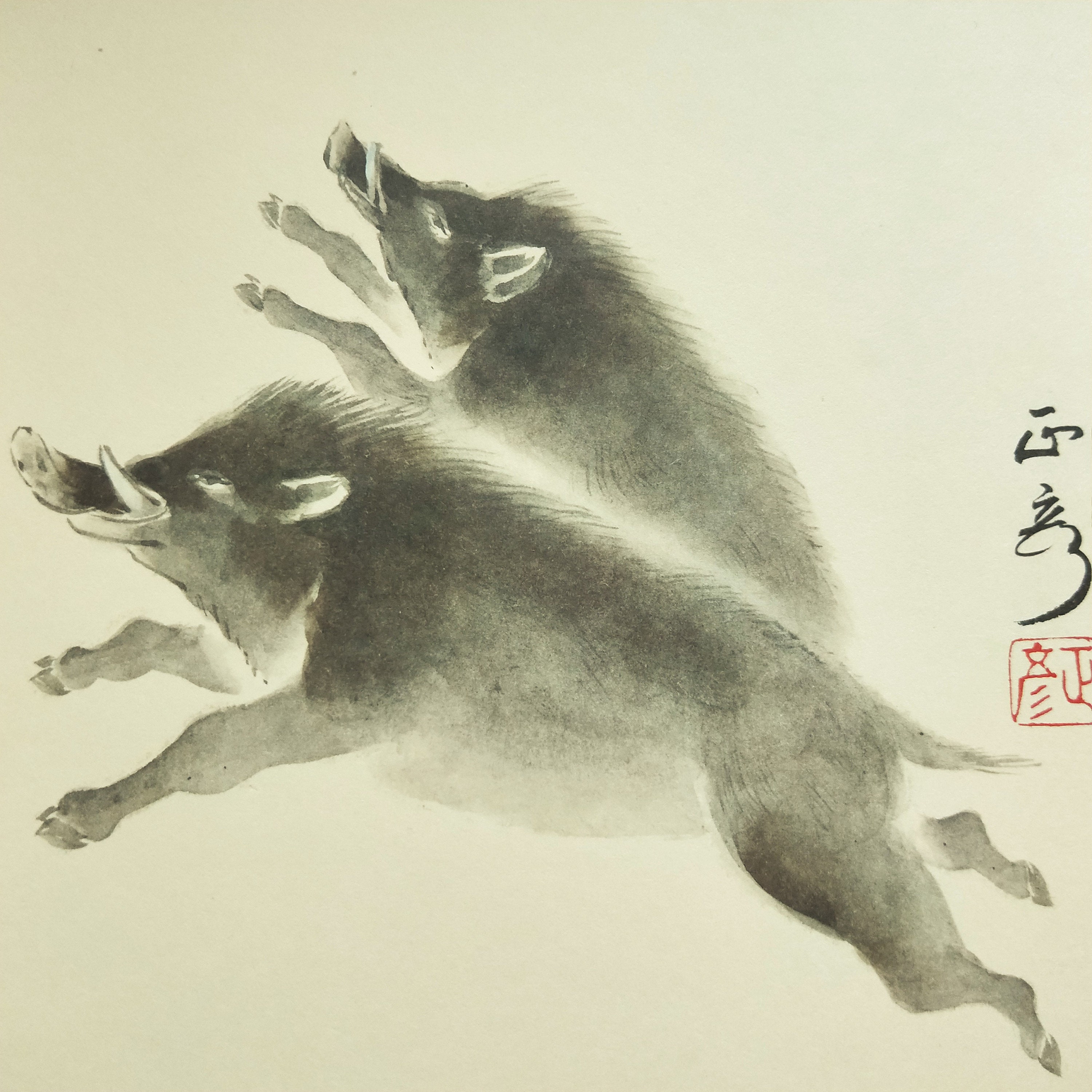 Vintage Japanese shikishi paintings 2019 Year of the Boar /Pig wild pig