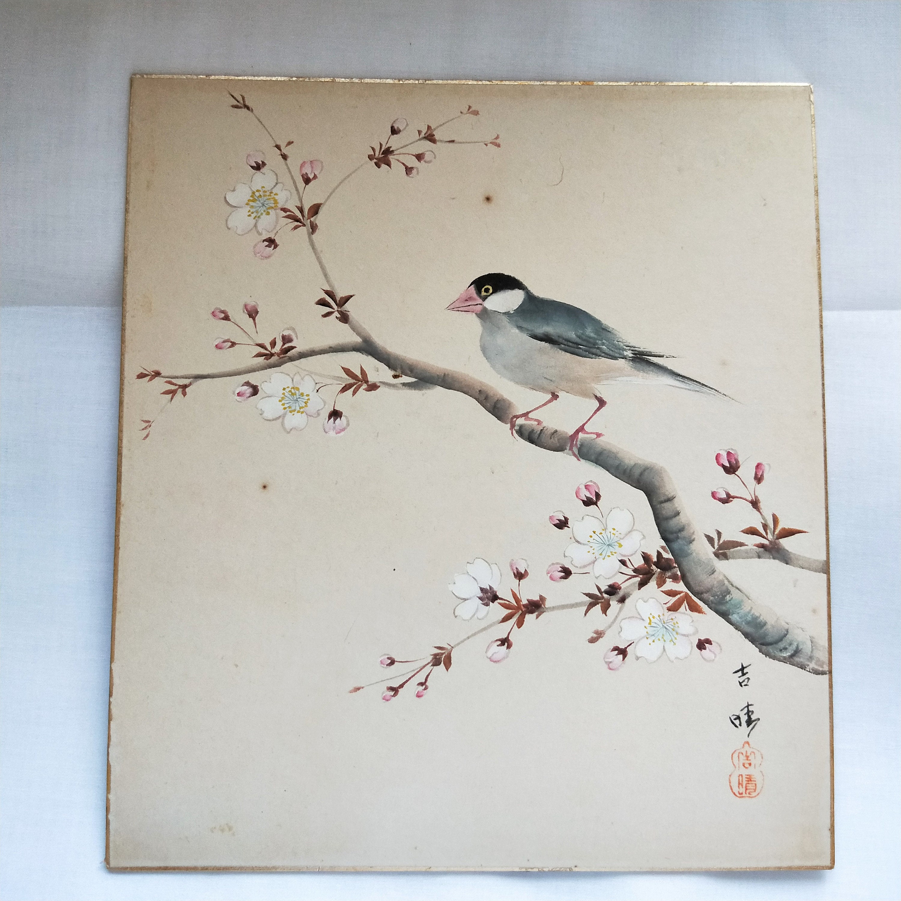 Vintage Hand painted Japanese shikishi paintings Japanese bird in plum
