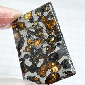 Pode incluir: Uma pedra preciosa retangular polida com uma matriz clara e vítrea. A pedra é preenchida com inclusões irregulares, castanho-douradas e pretas, criando um padrão salpicado único. A pedra preciosa é segurada por uma mão enluvada.
