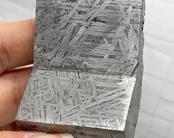 Fetta di meteorite Muonionalusta da 168,4 g, campione di meteorite naturale, dono cosmico H151