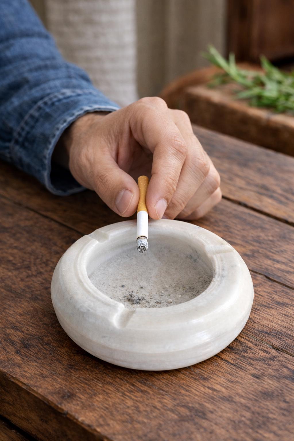 Cendrier Qualité Supérieure Marbre GERMANUS Cendrier Cigares Porcelaine Véritable - Design Marbre Bianco Avec 2 Repose-cigares - Nettoyage Facile Et Résistant Cendrier Porcelaine Véritable Marbre Bianco