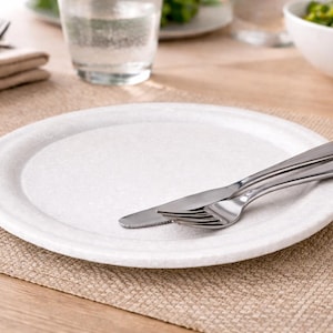 May include: A white ceramic plate with a textured surface, accompanied by a stainless steel fork and knife. The cutlery rests on a beige placemat, with a glass of water and a bowl of food visible. The image depicts a dining arrangement.