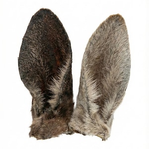 Op de afbeelding: Twee dierenoren van imitatiebont, &eacute;&eacute;n donkerbruin en &eacute;&eacute;n grijs, staan tegen een witte achtergrond. De oren zijn gedetailleerd met een realistische vachttextuur, perfect voor kostuums of cosplay.