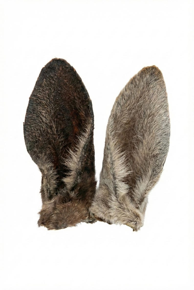 Op de afbeelding: Twee dierenoren van imitatiebont, &eacute;&eacute;n donkerbruin en &eacute;&eacute;n grijs, staan tegen een witte achtergrond. De oren zijn gedetailleerd met een realistische vachttextuur, perfect voor kostuums of cosplay.