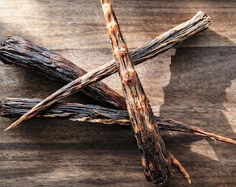 Kangoeroestaart - Dental Chew