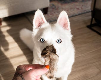 Kangaroo Ears with fur