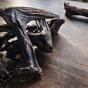 Känguruh Boomerang - zahnpflegend kauen