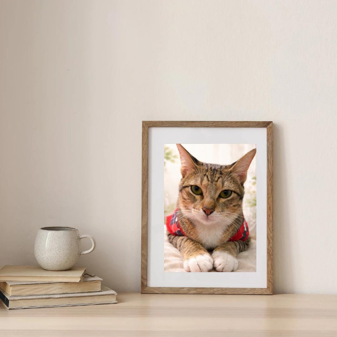 Pet Tabby Cat Wall Art Printable | Cozy Pet Portrait Digital Download ...
