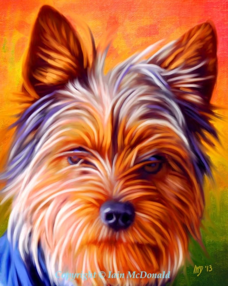 Yorkshire Terrier Portrait Custom Yorkshire Terrier Portrait Yorkshire Terrier Painting From Your Photos Yorkie Art by Iain McDonald image 5