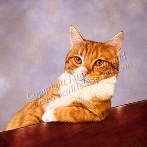 May include: A close-up of a ginger cat with white paws and chest, looking directly at the camera. The cat is sitting on a wooden surface with its front paws resting on the edge. The background is a light purple color.