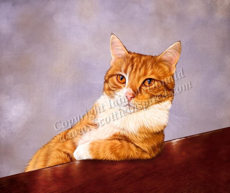 May include: A close-up of a ginger cat with white paws and chest, looking directly at the camera. The cat is sitting on a wooden surface with its front paws resting on the edge. The background is a light purple color.