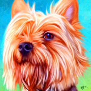 Yorkshire Terrier Portrait Custom Yorkshire Terrier Portrait Yorkshire Terrier Painting From Your Photos Yorkie Art by Iain McDonald image 6