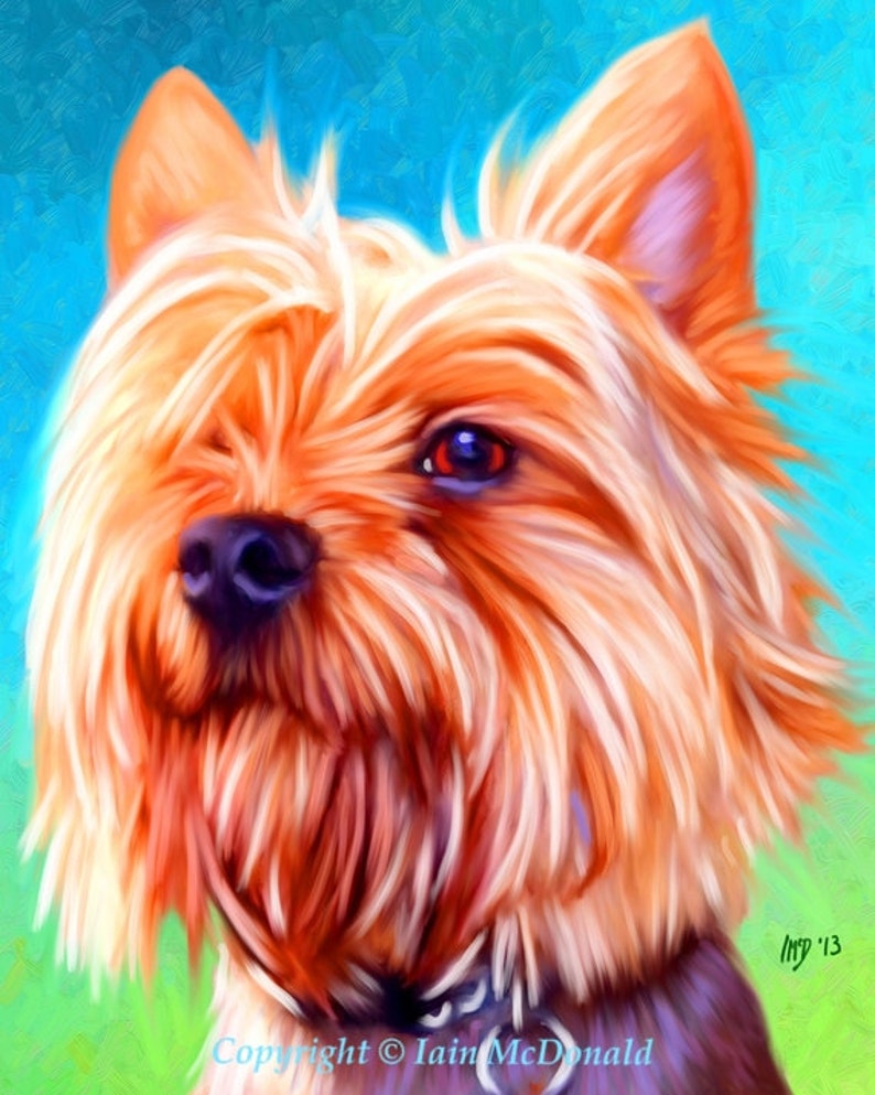 Yorkshire Terrier Portrait Custom Yorkshire Terrier Portrait Yorkshire Terrier Painting From Your Photos Yorkie Art by Iain McDonald image 6