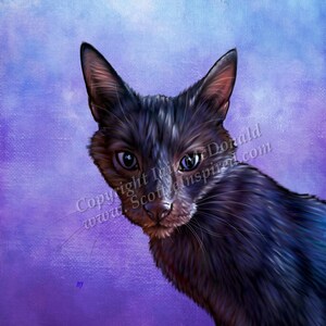 May include: A black cat with green eyes peeks from behind a purple background. The cat's fur is soft and fluffy, and its eyes are bright and alert. The background is a gradient of purple and blue, creating a dreamy and ethereal atmosphere.