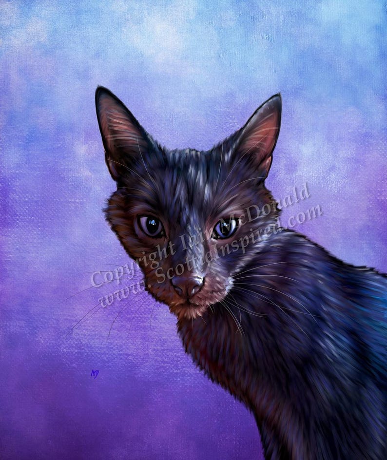 May include: A black cat with green eyes peeks from behind a purple background. The cat's fur is soft and fluffy, and its eyes are bright and alert. The background is a gradient of purple and blue, creating a dreamy and ethereal atmosphere.