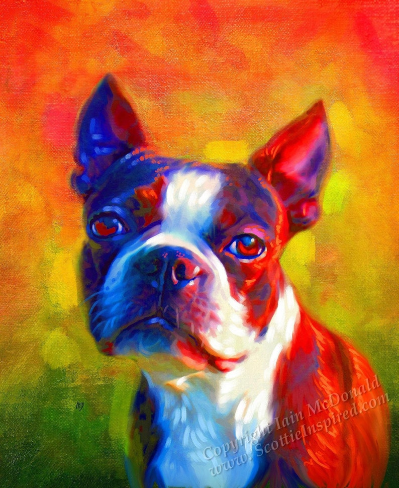 custom pet portrait of a dog from digital photo.