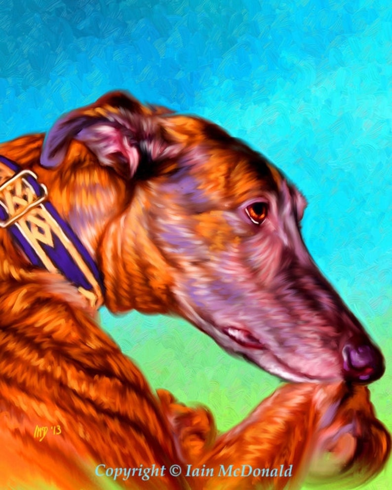 Greyhound Portrait Custom Greyhound Portrait Greyhound Painting From Your Photos Greyhound Art by Iain McDonald image 3