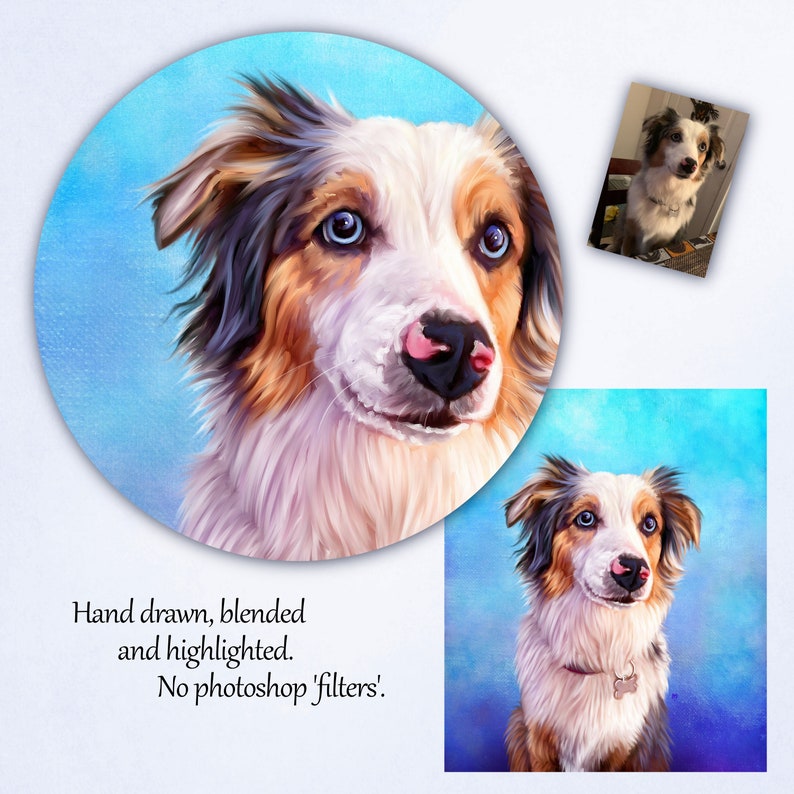 Custom pet portrait, Hand drawn digital pet portrait, Personalised pet portrait, Pet illustration, Animal portrait, Pet memorial image 8