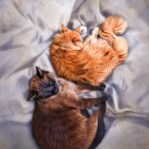 May include: Two cats, one orange and one brown, are curled up and sleeping on a white blanket. The orange cat is on top of the brown cat.
