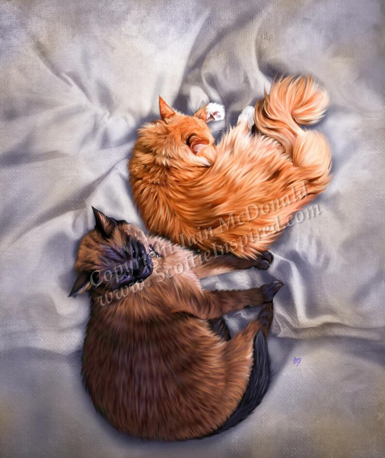 May include: Two cats, one orange and one brown, are curled up and sleeping on a white blanket. The orange cat is on top of the brown cat.