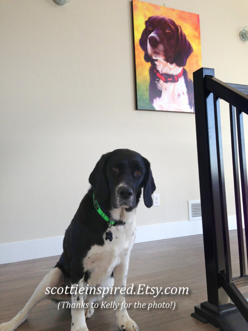 May include: A black and white dog with a green collar sits on a wooden floor, with a framed portrait of a similar dog hanging on the wall. The portrait features a dog with a red collar against a colorful background.