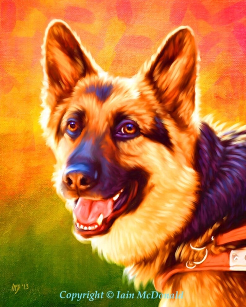 German Shepherd Portrait Custom German Shepherd Portrait German Shepherd Painting From Your Photos German Shepherd Art Iain McDonald image 6