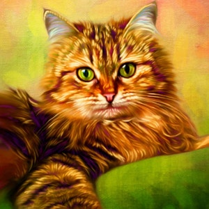 May include: A close-up portrait of a long-haired orange tabby cat with green eyes. The cat is lying on a green cushion with its head tilted slightly to the side. The background is a soft, blurred orange and yellow.