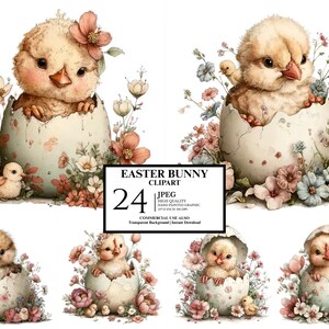 Ostern Küken Clipart, Aquarell Baby Küken Ausbrüten PNG, Frühlingsblumen Illustration, Bauernhaus Kinderzimmer Dekor, handbemalt Botanical