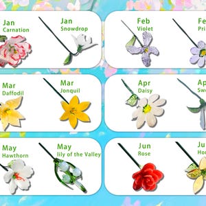 Puede incluir: Un gr&aacute;fico colorido con ilustraciones de varias flores, cada una etiquetada con un mes y el nombre de la flor. Las flores incluyen clavel, campanilla de invierno, violeta, pr&iacute;mula, narciso, junquillo, margarita, guisante de olor, espino, lirio de los valles, rosa y madreselva.