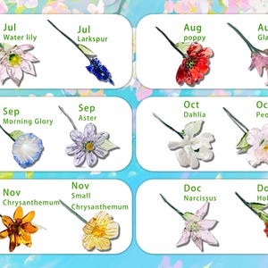 Puede incluir: Ilustraciones de flores estilizadas, cada una etiquetada con un mes y el nombre de la flor. Las flores presentadas incluyen nen&uacute;far, espuela de caballero, amapola, gladiolo, gloria de la ma&ntilde;ana, aster, dalia, peon&iacute;a, crisantemo, narciso y acebo.
