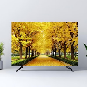 Puede incluir: Un televisor de pantalla plana muestra una vibrante escena otoñal. La imagen muestra un camino bordeado de árboles con hojas de color amarillo dorado, creando un efecto de túnel. El televisor tiene patas negras y está sobre una pared blanca.