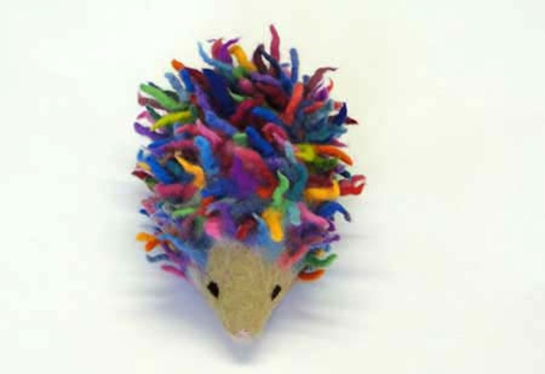 Rainbow coloured Hedgehog Needle Felt Kids Craft Kit to make 3D DIY project, online tutorial image 3